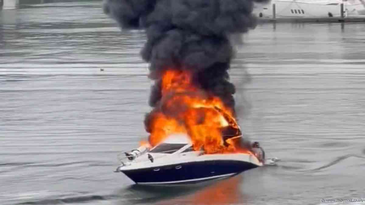 Sydney Harbour boat fire: Massive boat fire breaks out aboard vessel as large plume of black smoke rises above the water
