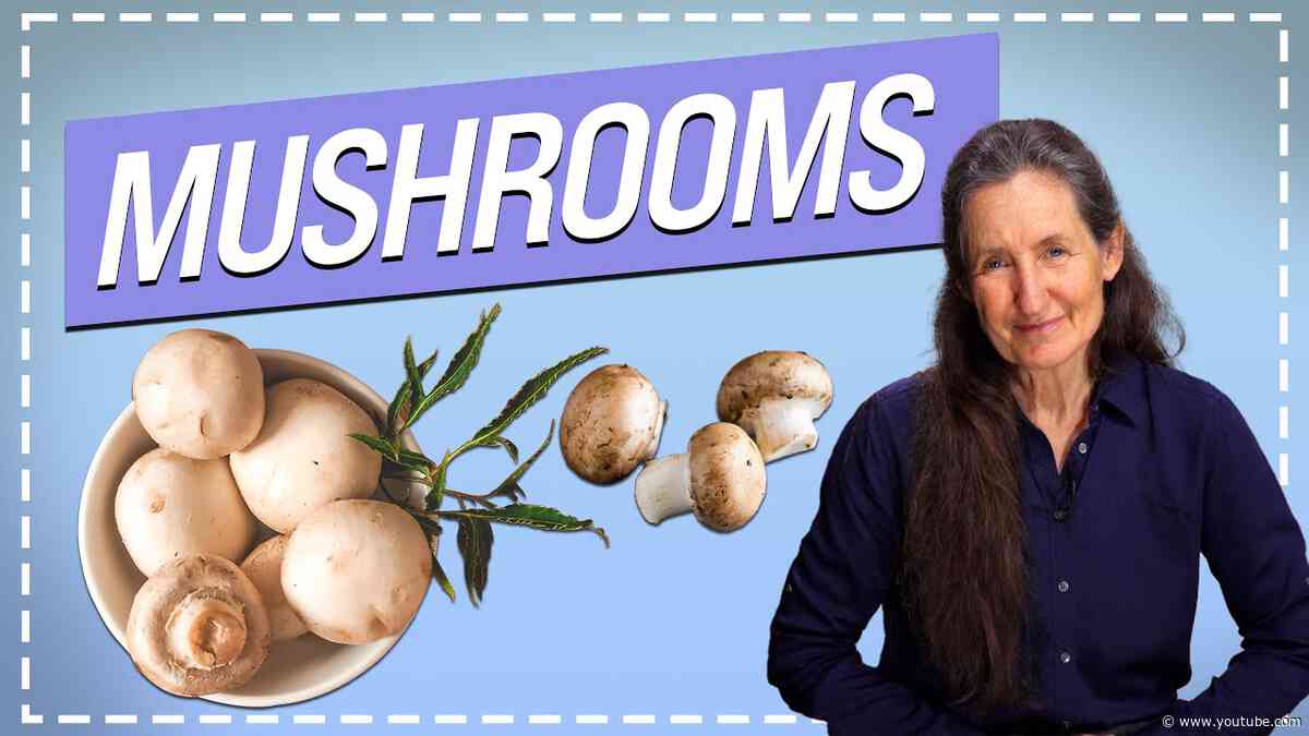 Mushroom Fungi: To Eat or Not to Eat?