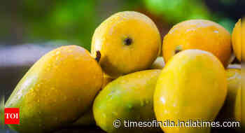 How to identify artificially ripened mangoes at home