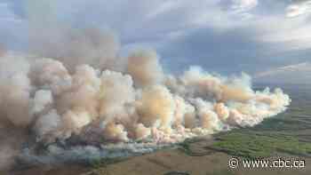 Wildfire forces partial evacuation order in County of Grande Prairie