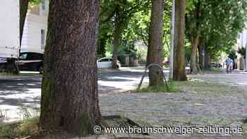 Wer schützt Braunschweigs alte Bäume vor den Autos?