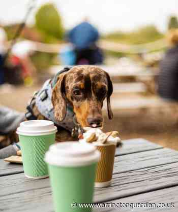 Is Partridge Lakes Café the best dog friendly day out in Warrington?