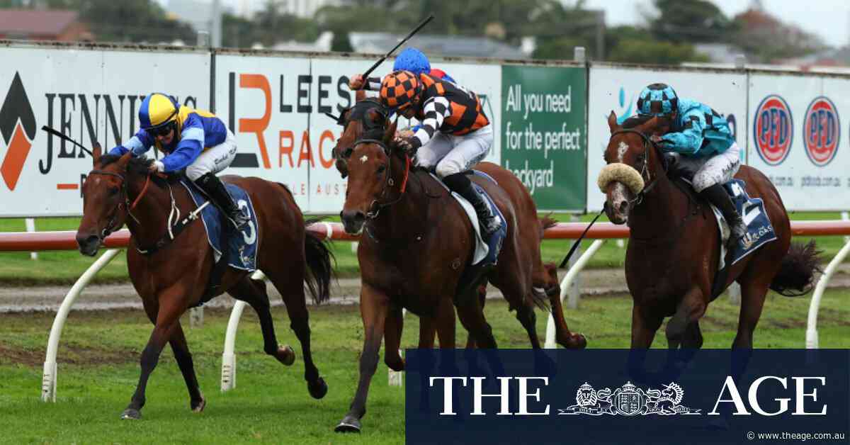 Victorian raider leaves rivals spinning wheels in The Coast