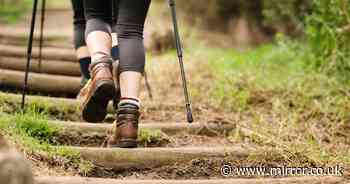 'Nordic' walking technique can help you 'burn more calories' and improve heart health