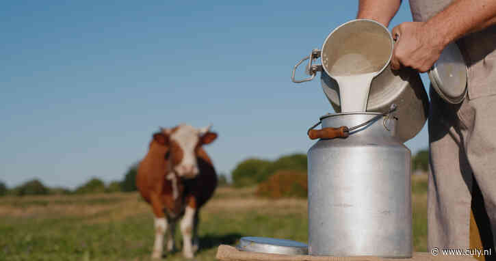Wat is precies het verschil tussen verse melk en houdbare melk – en welke is beter?