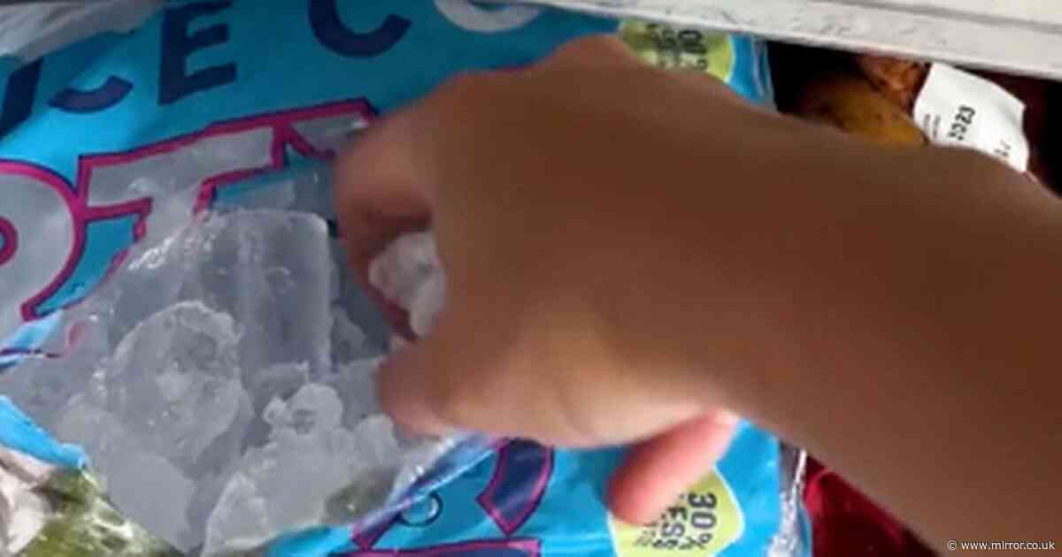 Woman's DIY air conditioning hack cools home in no time - with just ice and water