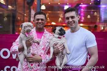 'We opened a pug café in Manchester so we could own more dogs... now business is booming'
