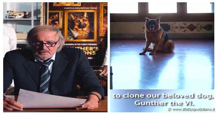 Il cane più ricco del mondo potrebbe essere presto clonato: l’annuncio sui social di Günther VI