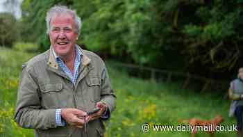 Clarkson's Farm viewers feel overjoyed as fan favourite gets a happy ending in emotional finale scenes