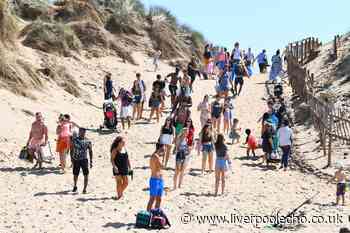 National Trust say find 'an alternative' in warning over Formby