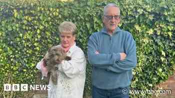 Help sought with £23k vets bill after dog attack