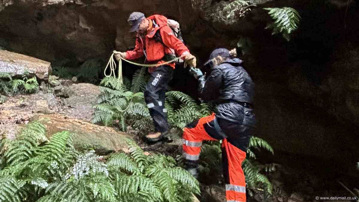 Bushwalker found after getting lost in the NSW Blue Mountains