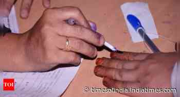 65.68 per cent polling in phase 3 of Lok Sabha elections, says Election Commission