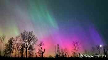 Northern lights make rare appearance in New Brunswick
