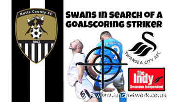 Swansea City : Top striker target in the Swans sights, the full lowdown