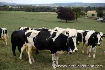Ayrshire farm quarantined over mad cow disease case