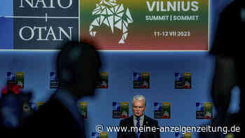 Präsidentschaftswahl in Litauen: Amtsinhaber Nausėda ist aussichtsreichster Kandidat