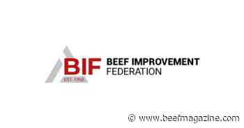BIF announces Seedstock, Commercial Producer award finalists