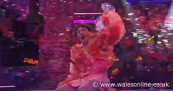 Eurovision winner Nemo smashes trophy minutes after winning and viewers all make the same joke