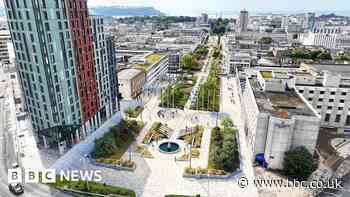 Work held up on Plymouth trees regeneration site