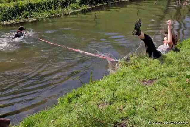 Overenthousiaste hond trekt baasje in rivier: “In mijn hoofd ging het trager dan in de video”