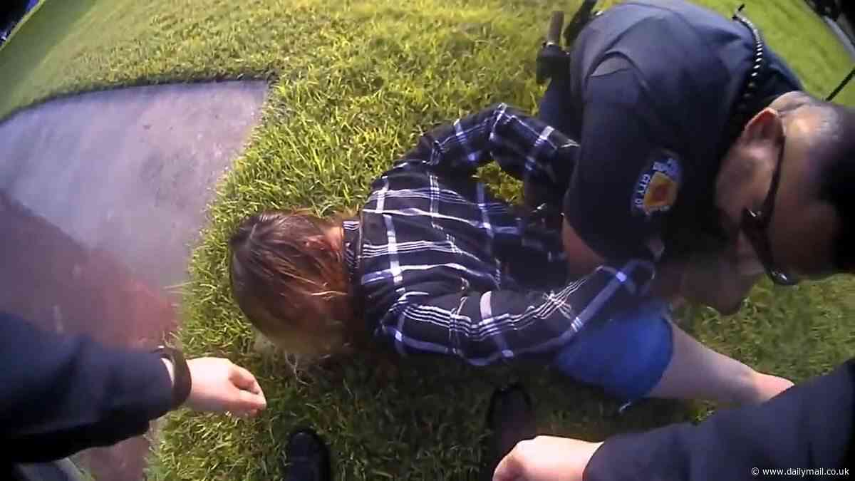 Moment screaming woman 'is savaged by fire ants while her face was held to the ground by police who were arresting her'