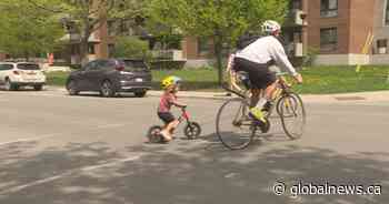 Bike path in residential Montreal borough continues to spark controversy