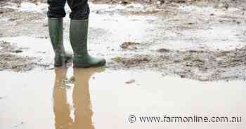 A look to Britain: farmer confidence falls to 'all-time low' amid wet weather