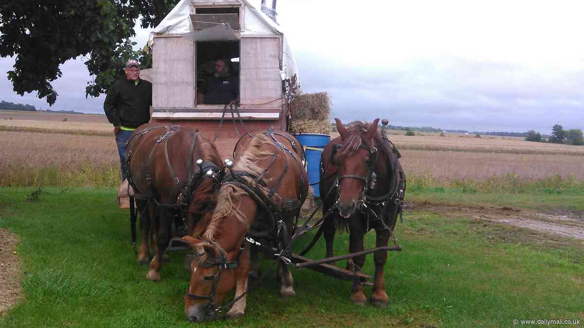 Montana man, 63, who has no family spends his life traveling back and forth across US on horse-drawn carriage at 3mph and has just started his fifth trip