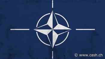 Neutrale Länder verstärken Zusammenarbeit mit Nato