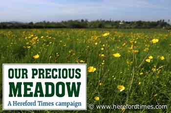 What's so important about Hereford's unique Lugg Meadow