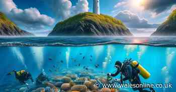 Stunning images show how coral reefs could become a reality on Wales' beaches
