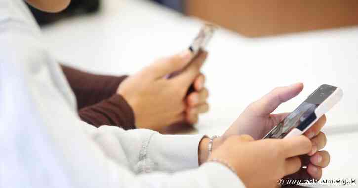 OECD rät zu verantwortungsbewusster Nutzung von Handys