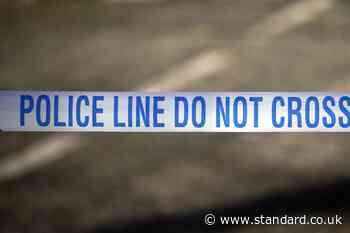 Four arrested after pedestrian killed in Haringey crash