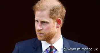 Prince Harry and King Charles in war of words over whether royals did offer to meet on flying UK trip