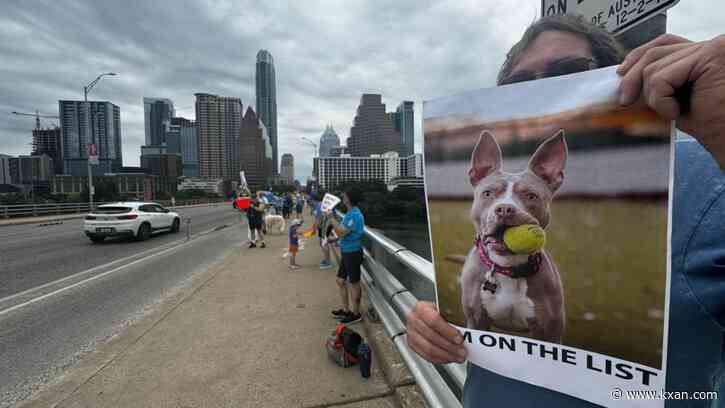 Groups protest Austin Animal Center, say leaders aren't fixing changes needed