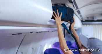Flight attendant explains why they won't put your bag in overhead locker for you