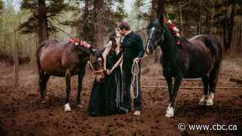 B.C. artist arranges maternity photoshoot for her pregnant horses