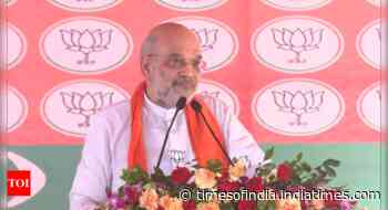 'Sonia Gandhi spent more than 70% of MP funds on minorities': Amit Shah in Rae Bareli rally