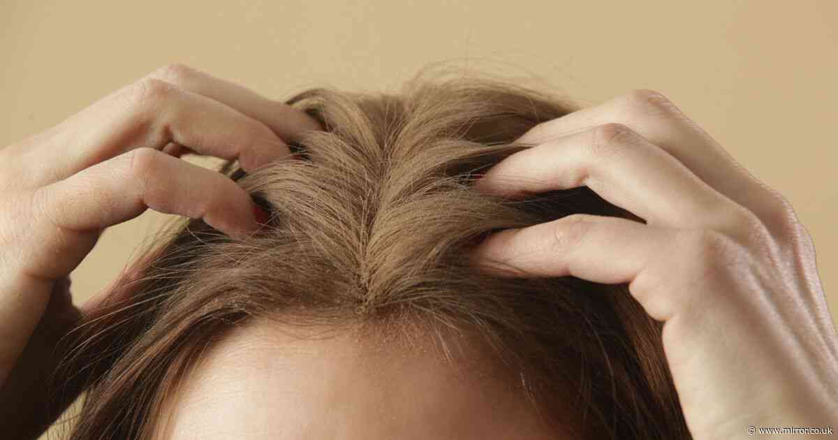 Bizarre 'natural' hair mask costing only 99p that actually works, according to an expert