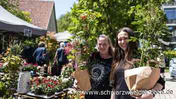 Gartenmesse und Keramika: Nagold schmückt sich für ein buntes Europa