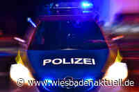 Vermeindliche Schlange löst Polizeieinsatz in Mainz-Kostheim aus