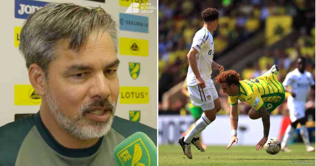 David Wagner provides Josh Sargent injury update after Norwich’s draw with Leeds