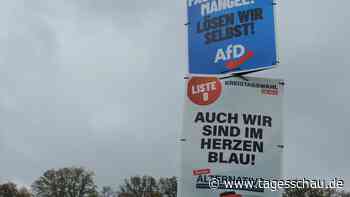 Thüringer AfD will neun Parteimitglieder ausschließen