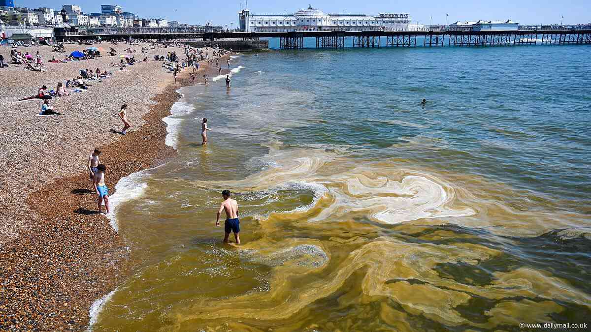 What is THAT? Sea along the south of England goes filthy brown including at hotspot Brighton amid public fury at sewage-dumping