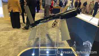 Following Replicator win, AeroVironment sees strong demand for Switchblade, loitering munitions
