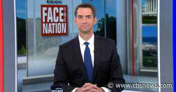 Sen. Tom Cotton says Israel is "fighting a war for survival against a terrorist group"