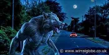 Tom Slemen's Haunted Wirral column: the Greasby Werewolf