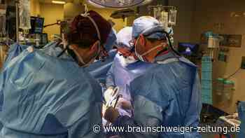 Erster Patient mit transplantierter Schweineniere gestorben