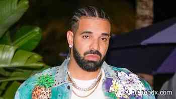 Drake's Toronto Mansion Targeted By Third Intruder Who Gets Tackled By Security